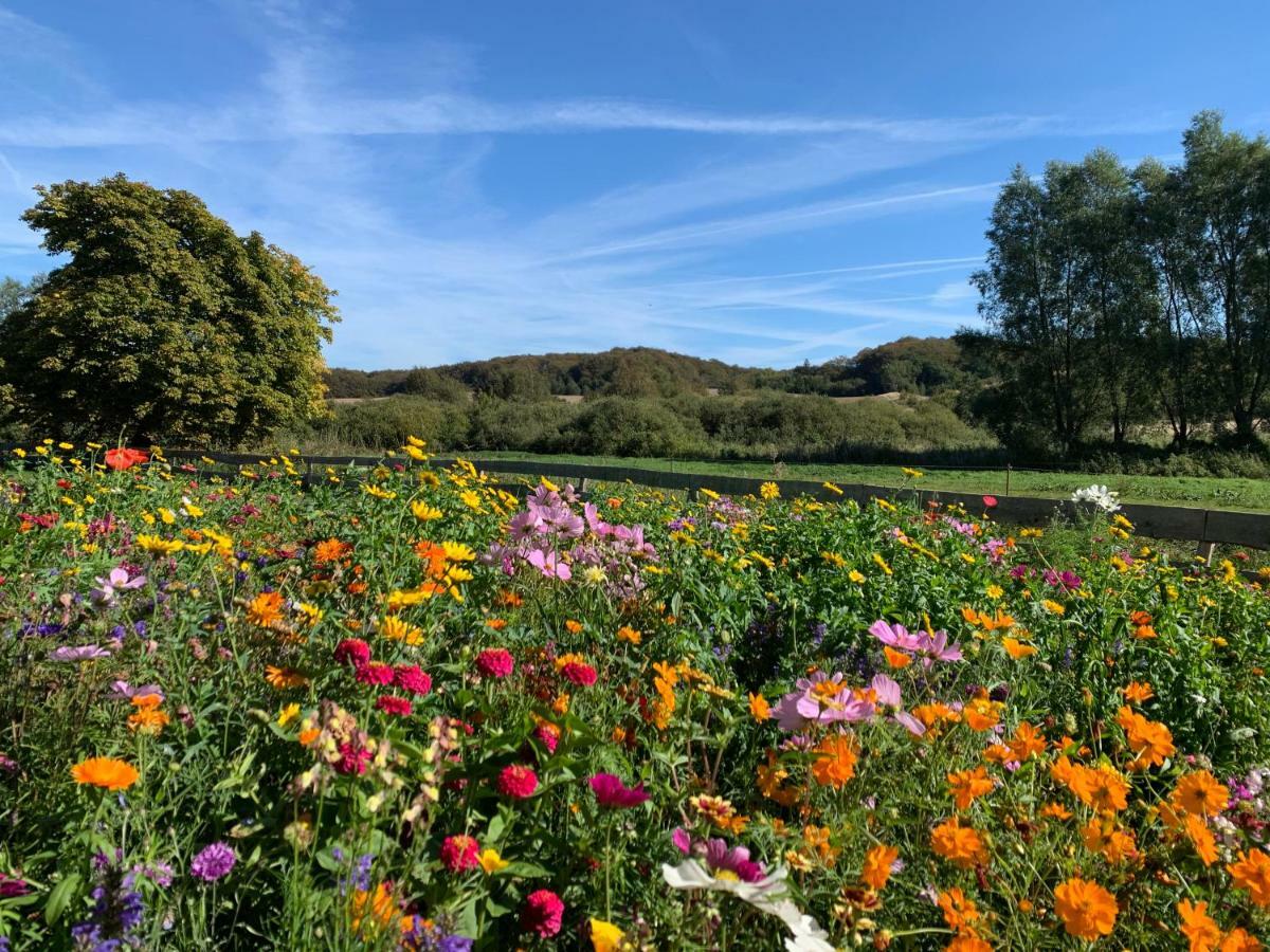 Ferienhaus Am Nationalpark - Ihr Zuhause Auf Ruegen โลห์เมอ ภายนอก รูปภาพ